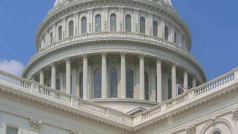 State Election Officials Detail Readiness Steps for November