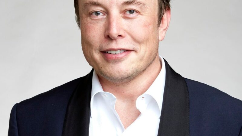 Elon Musk portrait